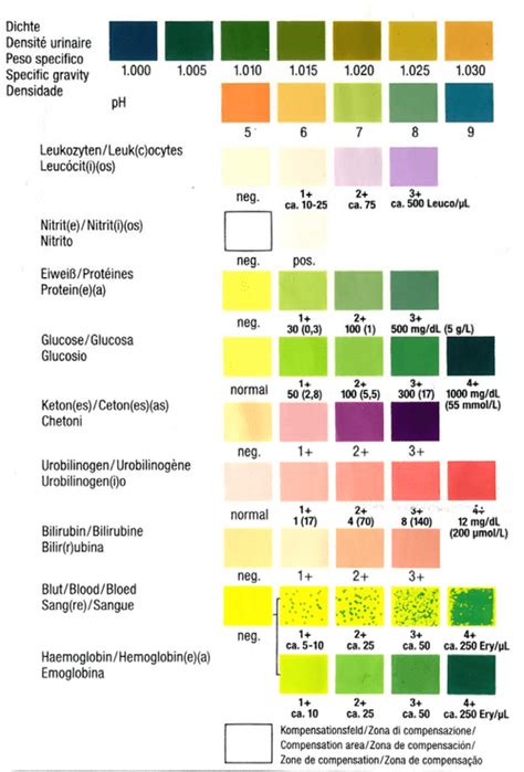 urinalysis interpretation chart